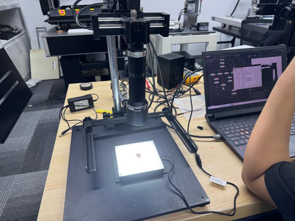 structure of the visual system
