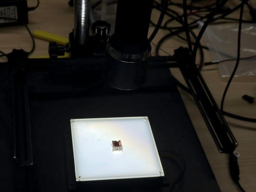 structure-of-the visual-system