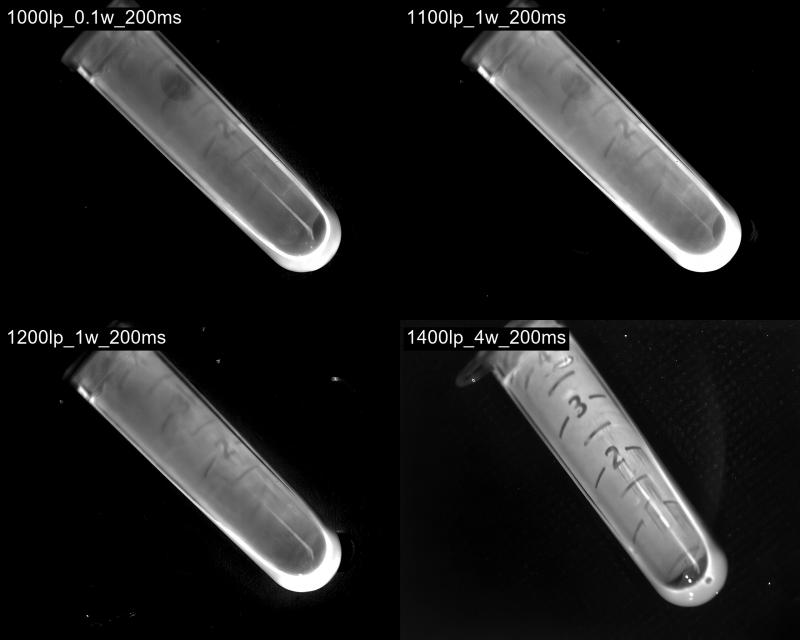 红外相机的工作原理介绍